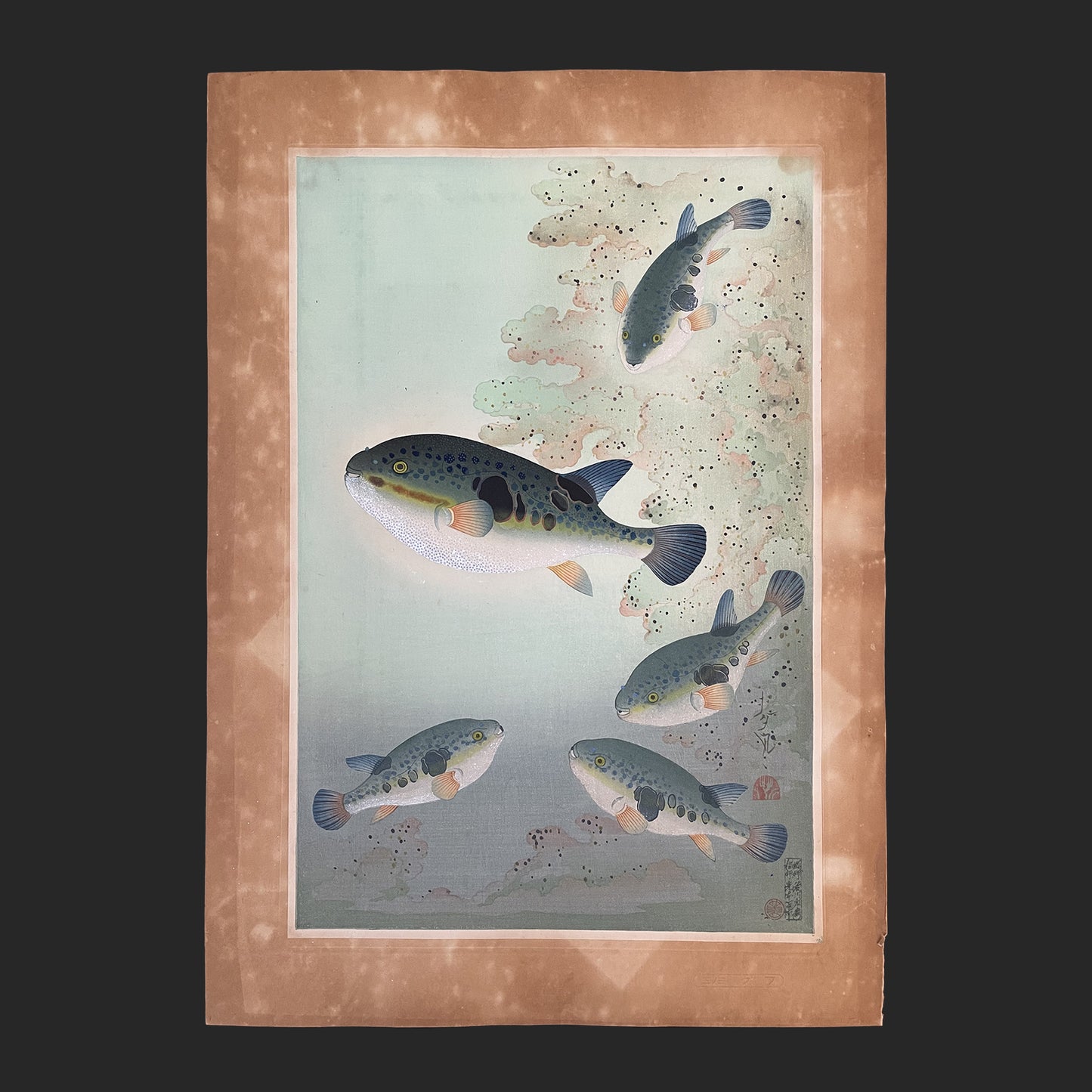 大野 麦風 ONO Bakufu 大日本魚類画集より「フグ」