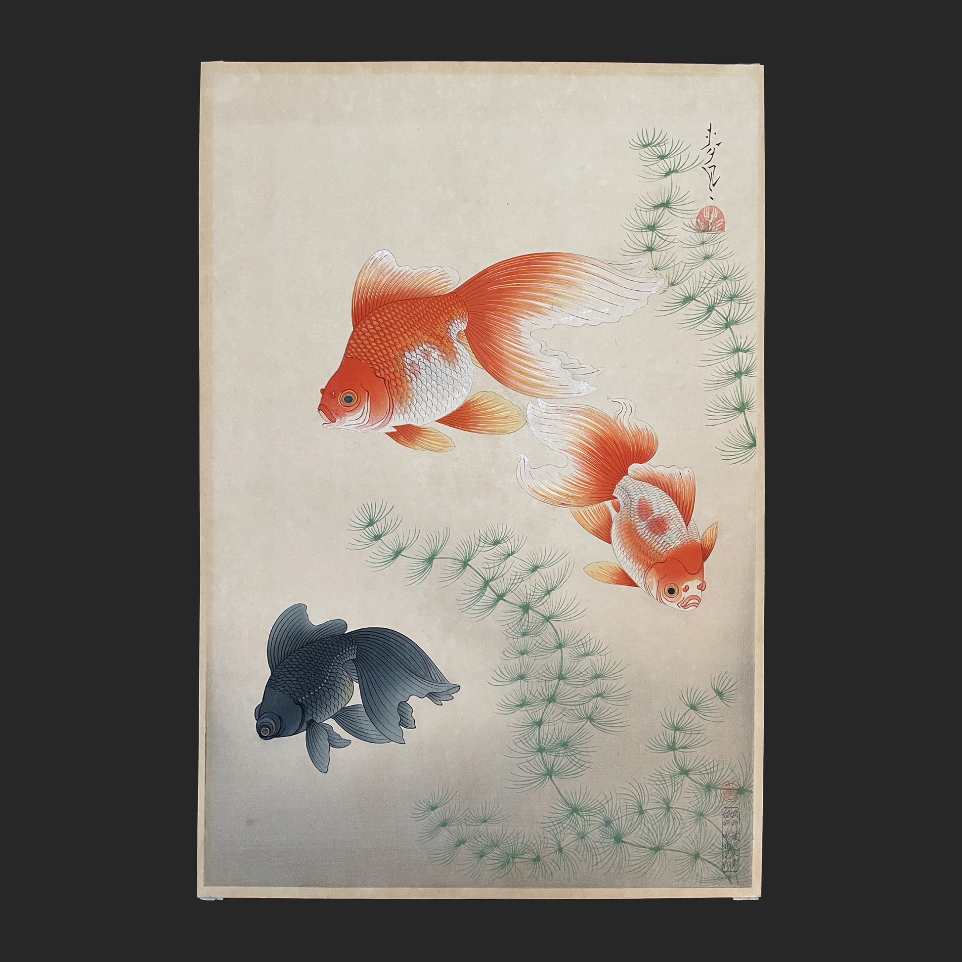 大野 麦風 ONO Bakufu 大日本魚類画集より「金魚」